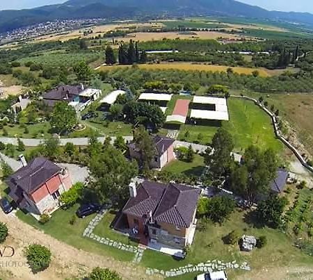 Aparthotel Ktima Papadopoulou à Krioneri  Extérieur photo